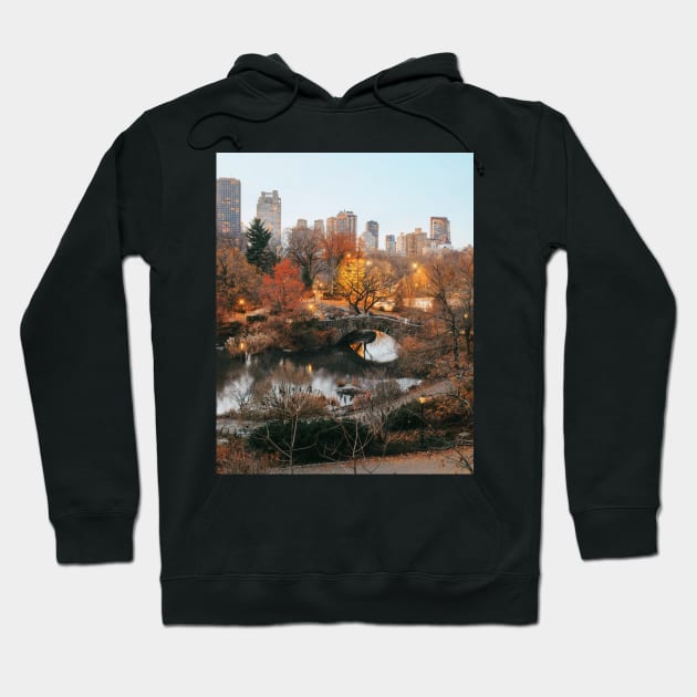 Central Park Sunset Hoodie by igjustin